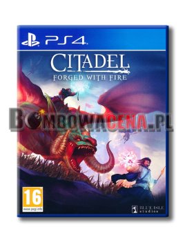 Citadel: Forged with Fire [PS4] NOWA