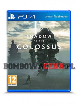 Shadow of the Colossus [PS4] PL